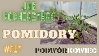 Jak najlepiej podwiązywać pomidory [upl. by Wartow]