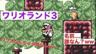 【＃ワリオランド３】 攻略法はこれだ！！ パート９ [upl. by Yvaht85]