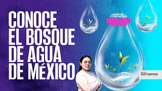 EnDefensaDelConsumidor ¬ El Bosque de Agua hidrata a CdMx Edomex Morelos… ¡urge cuidarlo [upl. by Eet217]