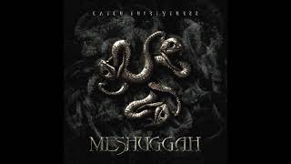 Meshuggah Catch Thirtythree full album [upl. by Fritzsche133]