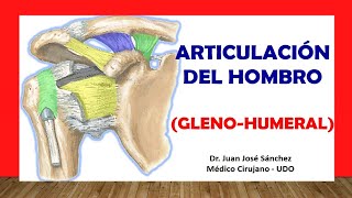 🥇 ARTICULACIÓN DEL HOMBRO Glenohumeral Fácil Rápida y Sencilla [upl. by Dosh856]