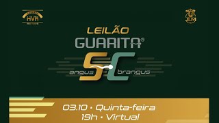 2° Leilão Virtual Brangus Guarita SC  03102024 1900h [upl. by Anat]