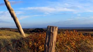 Wangerooge  Bilder einer Insel [upl. by Brooking]