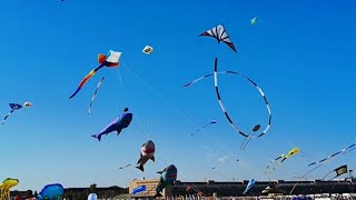 🪁AMAZING ACROBATIC KITE FLYING at the BERLIN KITE FESTIVAL 2024 [upl. by Gnuhn]