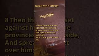 Ezekiel 19114 NKJV [upl. by Ier597]