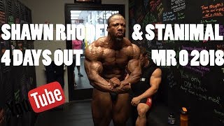 OLYMPIA 2018 WITH SHAWN RHODEN amp STANIMAL  DELTS 4 DAYS OUT [upl. by Ettenna]