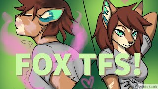 🦊 Fox TFs  Vulpine TF TG part 5  REQUESTED 3 🦊 [upl. by Seitz]