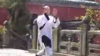 武當太極拳  Wudang Tai Chi Quan [upl. by Nicoline69]