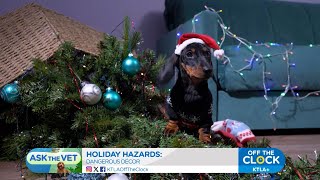 Ask the Vet Holiday Hazards [upl. by Namzed]