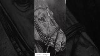 Sarah’sArtscapecreativeart successfulartist professionalartist art yt horse drawing [upl. by Munster929]