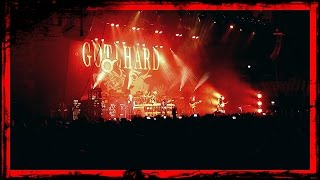 Gotthard  Feel What I Feel  live  Ratiopharm Arena Neu  Ulm 31102014 [upl. by Dachi358]