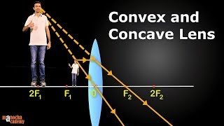 Convex and Concave Lenses [upl. by Lewse]