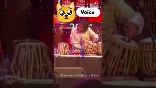 Tabla new video 📸 📷 Cat voice ustadzakirhussain funnytablaplayzakirhussain shortvideo [upl. by Asli]