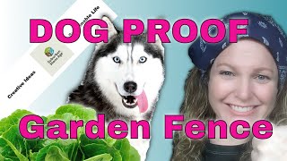 Dog Proof Raised Vegetable Garden Bed  Using IBC ToteContainer Cage [upl. by Drwde]