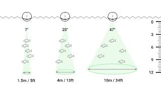 So funktioniert ein Echolot DEEPER Sonar lesen amp interpretieren [upl. by Yadnus]