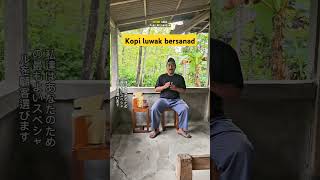 Kopi Luwak Grade A dari produk Lik Kondang  kopi kopiluwak kopihitam kopipahit kopipagi [upl. by Gypsy]