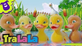 Cinci bobocei de rață au plecat Five Little Ducks în română Cântece TraLaLa [upl. by Lydell]