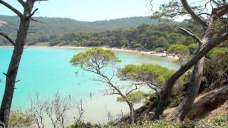 Isola di Porquerolles  Arcipelago delle Isole di Hyères  Francia [upl. by Bolme]