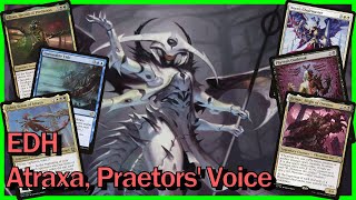 Atraxa Praetors Voice EDH Deck Tech  Magic the Gathering [upl. by Bernetta]