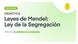 Leyes de Mendel Ley de la Segregación  Biología  Genética  V2  Egg Educación [upl. by Katharyn]