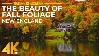 Top Scenic Fall Foliage Spots in New England USA – 4K UHD Autumn Relaxation [upl. by Dianne381]