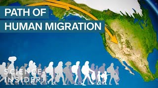 Map Shows How Humans Migrated Across The Globe [upl. by Jonme]