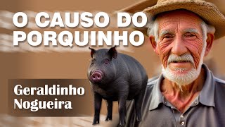 Causo do Porquinho  Geraldinho Nogueira [upl. by Hsiekal906]