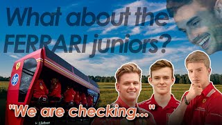 The Ferrari Driver Academy juniors Where are they now [upl. by Marcy]