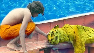 Life of Pi2012Full movie Explained in HindiUrdu Dubbedreal survivor movieAdventuretrailer [upl. by Taka]