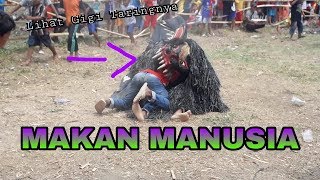 Baru Barongan Besar Yang Lapar Akhirnya Dapat Makanan 😲 [upl. by Nahallac]