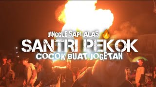 DJ BANTENGAN SANTRI PEKOK JINGGLE SAPI ALAS 🔥 By Samid Project 🔥 [upl. by Thackeray]