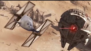 Bouncing Seals In Star Wars [upl. by Mackoff648]