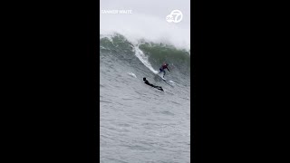 Huge waves at Mavericks Beach draw surfers from around the world [upl. by Neenahs]