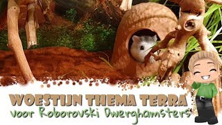 🐹💚 Hamster Kooi Inrichten 20 🌵 Woestijn thema voor de Roborovski Dwerghamsters Familie [upl. by Clorinda]