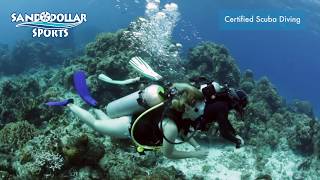 Cozumel Scuba Diving [upl. by Dlareg]