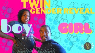 Discover the Surprise of Our Twin Gender Reveal [upl. by Saitam364]