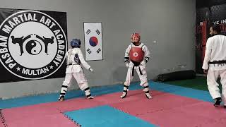 Taekwondo Fight videos 2024  Taekwondo knockouts Fights [upl. by Adnohsal84]