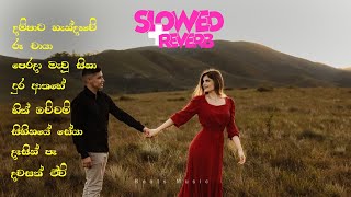 Relax with Sinhala Slow Songs MindCalming Collection  Slowed  Reverb 🥺❤️💖 [upl. by Greenman36]