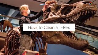 TRex Cleaning at Pittsburgh International Airport [upl. by Monagan]