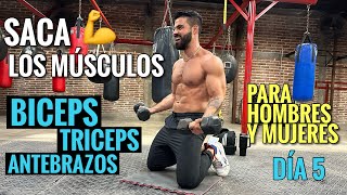 Ejercicios de BRAZOS entrena tus Bíceps Tríceps y Antebrazos 25 Min Rutina para SACAR LOS MUSCULOS [upl. by Roberts934]