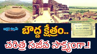 బౌద్ద క్షేత్రం చరిత్ర సజీవ సాక్ష్యంగా AKSHARA SHILPAM TV srikakulam salihundam latestnews [upl. by Kieran736]