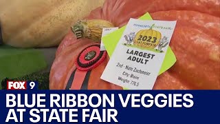 Blue ribbon vegetables at MN State Fair [upl. by Franci303]