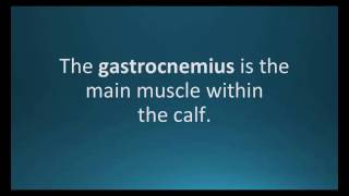 How to pronounce gastrocnemius Pharmcabulary for Memorizing Pharmacology Flashcard [upl. by Gnahc]