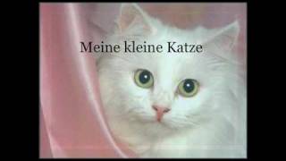 Meine Kleine Katze  Deutsches Katzen Kinderlied  German Cat Children Song [upl. by Singh]