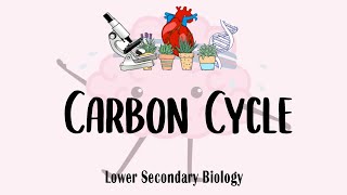 Lower Sec IP Bio Ecology  The Carbon Cycle [upl. by Childers662]