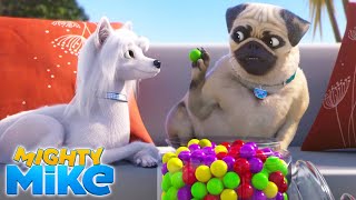 MIGHTY MIKE 🐶 Amnesia 🤕🍬 Episode 17  Full Episode  Cartoon Animation for Kids [upl. by Ev903]