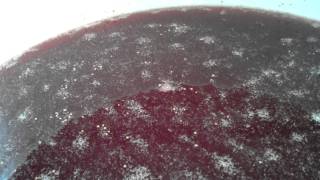 fermenting fig wine [upl. by Elesig]