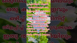 മുടി പപ്പായഇല [upl. by Decrem334]