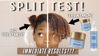 VISIBLE HAIR REPAIR AFTER ONE USE  SheaMoisture Manuka Honey amp Yogurt Line [upl. by Dre]