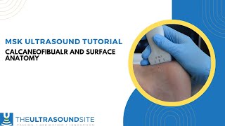 MSK sonography of the Calcaneofibular ligament [upl. by Tomkiel]